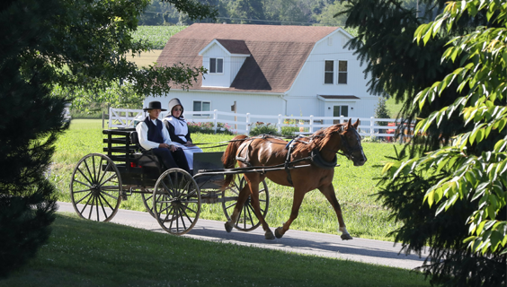 Amish